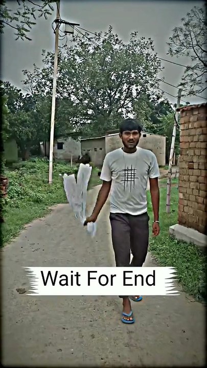 Funny Video
