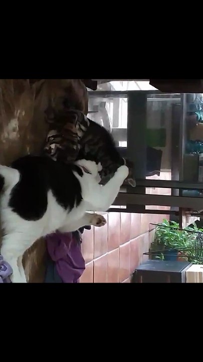 VID_20251024_115700~2