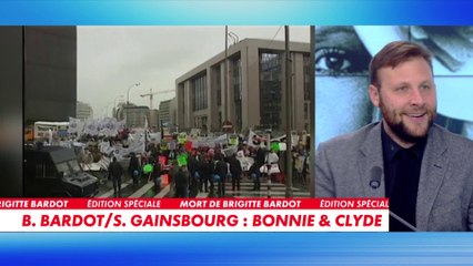 Alexandre Devecchio : «Brigitte Bardot adorait CNEWS»