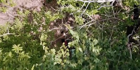 مسلسل Emily in Paris الموسم الخامس الحلقة 1 مترجمة - توب سينما