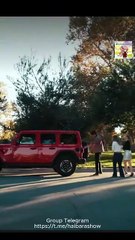 La amante secreta del padrino #MiniCineLatino