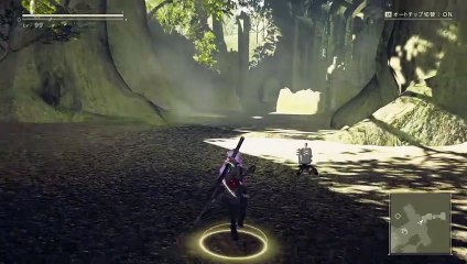 CfA2 NA モッド･マップ6：森林地帯4：3D Forest Castle 2