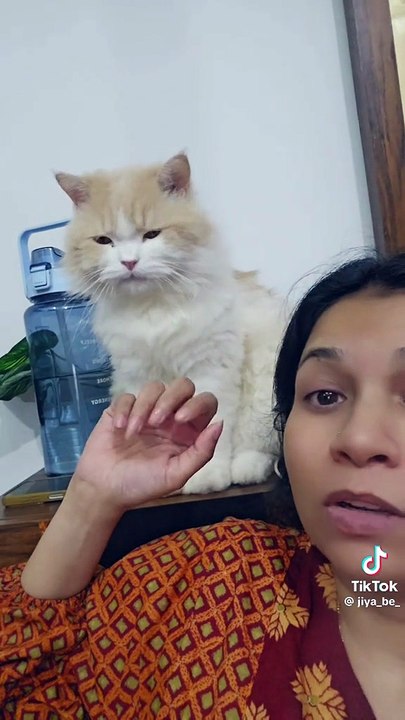 cat lovers❤️❤️❤️