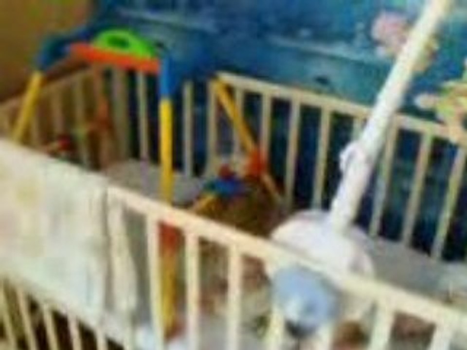 mon choub dans le cosmos et mon crap