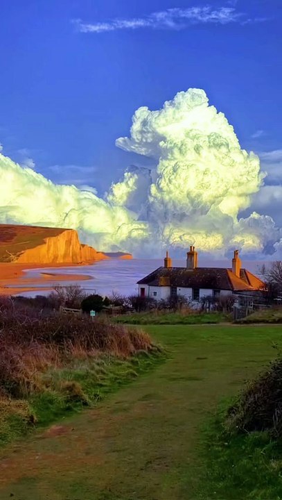 * Nature is Art 🖼️