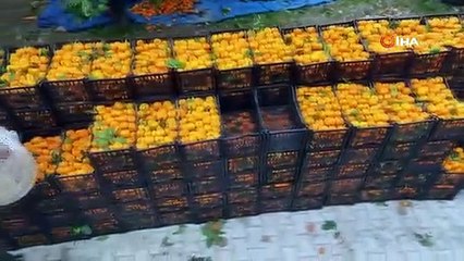 Tarlada 2 TL, markette ise tam 35 TL! 33 TL kimin cebine kalıyor ?