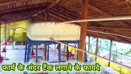 Form ke andar tank Lagane ke fayde | poultry farm water fitting |  desi murgi palan