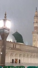 صلِّ عليك الله يا خير الورى 💚 نعت مؤثرة جدًا | ستذرف الدموع 😭 #نعت_قصير
