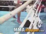 Muay Thai vs TKD