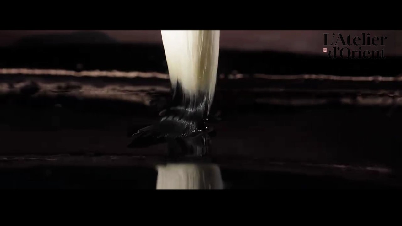 365 Jours pour UN Pinceau : Le Sommet de l'Artisanat Chinois 🖌️✨