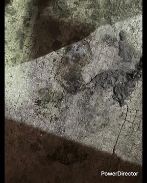 ROBERTO MTZ DIJO CON CHAVIRA DE APUESTAS YO TENGO ACENTO DE ESTADOS UNIDOS SU INGLÉS CABRON NO ERES DE USA PELADO MUY CHAPARRITO EL OTRO ADRIAN MARCELO SE CREE CHARLIE SHEEN ESOS SON PUROS COMPLEJOS PUROS COMPLEJOS EL MEXICANO Y DE MTY QUIERE SER OTRO