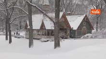 Tempesta di neve, dichiarato lo stato di emergenza a New York, le immagini di Central Park