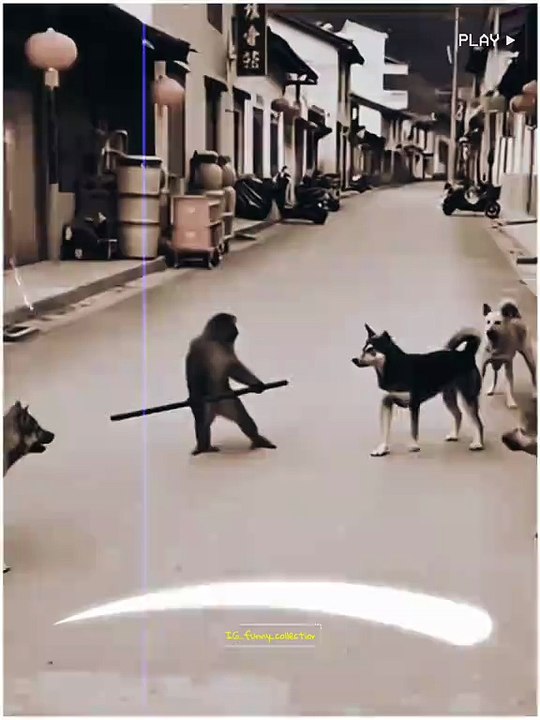 Funny 🤣🤣🤣 video 2026 new year video