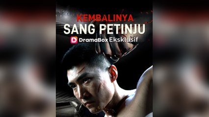 Kembalinya Sang Petinju (Sulih Suara) Episode Lengkap