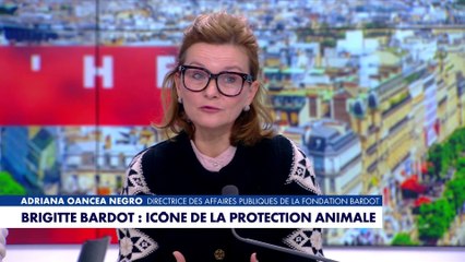 Adriana Oancea Negro : «À la Fondation Bardot, nous nous sentons orphelins»