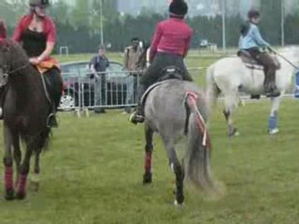 Cheval fête du sport