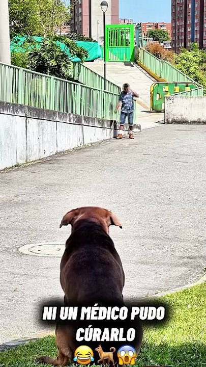 AQN5rT71GxtTDBNDWH_WDbZH-JtuaTm6G75bQ7CgoLlPWKpzucYaEmXKgmx42o5bvPkdESqyzUMwRVK0XdARWxBju-8vw981VRBarlW2tKiTHQ