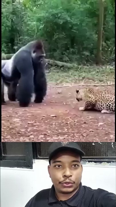 AQMzpTep9Yrs5WkdEbRxlJufUBF0v_1keSngI_JDZsOdzcN2ANqvcjzIubh4lYNRNcLB-anUMOTKidCkJF7vNYH9AcZo5ImEny_Ga7dCQUdxjg