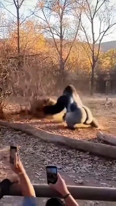 AQO9gXcY9NDl7AzWs9Cxe0Tsx3a9SId4DeO3EDXPmMg-o-5B5e_kElq6B0OKEX2VWl5KWArJyMAcBuQlYXjUYty0xIPfgLESggkCNSXOaQ0oWQ