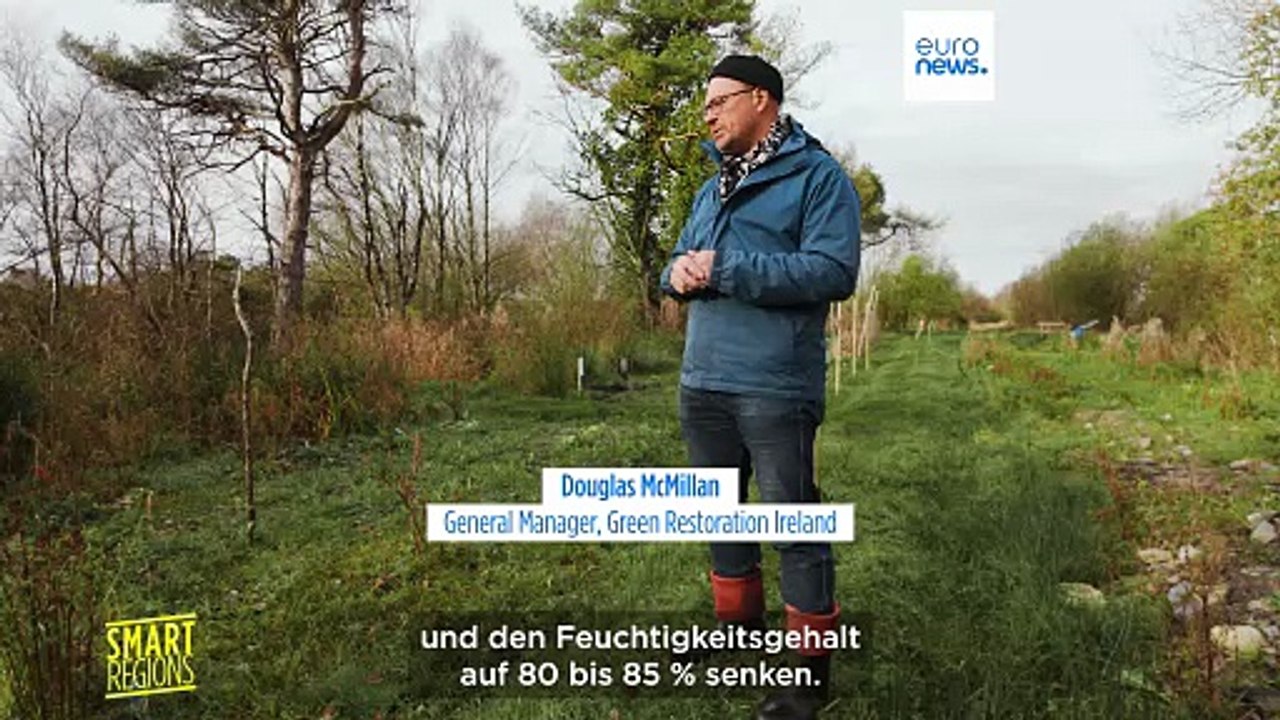 Torfmoore zu einer grünen Wirtschaft in den irischen Midlands machen