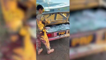 Ação conjunta apreende 200 quilos de agrotóxicos em Rio do Salto