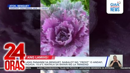 Ilang pananim sa Benguet, nabalot ng “frost” o andap; 10.6°C naitala sa bayan ng La Trinidad — PAGASA | 24 Oras