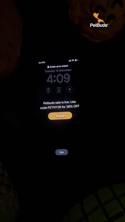 PetBuds New Year Sale – 26% OFF on Pet Favourites