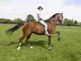 Pas espagnol au paddock 25-05-08