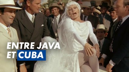 Une maîtresse dans chaque port selon Brigitte Bardot dans Boulevard du Rhum