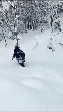 Sinop’ta kar mesaisi: YEDAŞ ekipleri sahada!