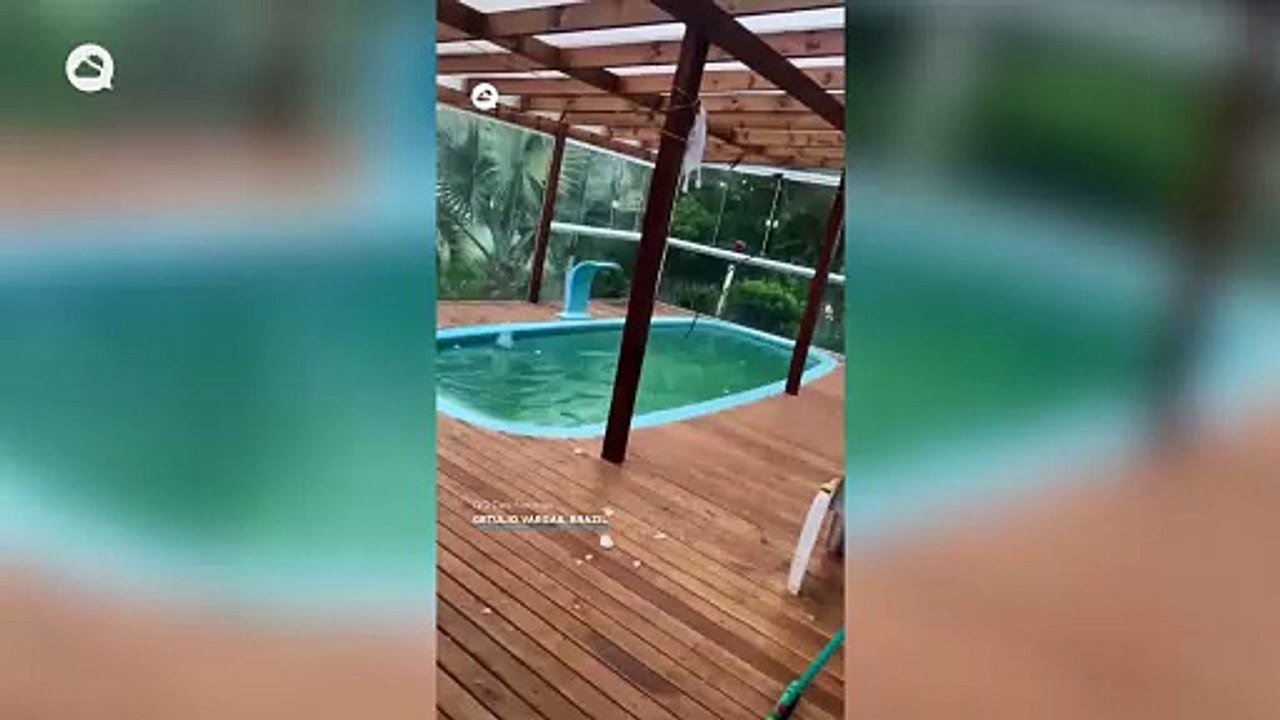 Meteored top 10 2025