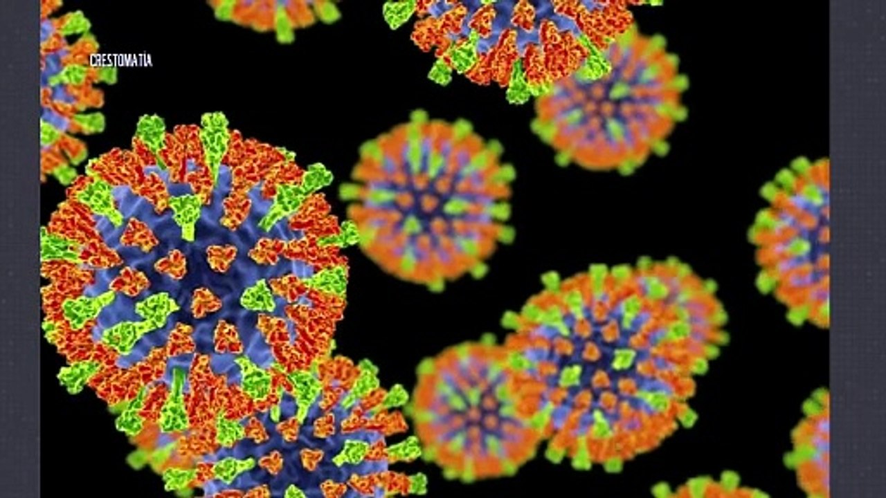 Sarampión en Nayarit: 6 casos confirmados | CPS Noticias