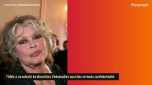 Brigitte Bardot : on sait quand aura lieu son dernier voyage, un moment partagé avec le public