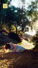 Reborn for the Lycan King Full Movie English Subtitles HD