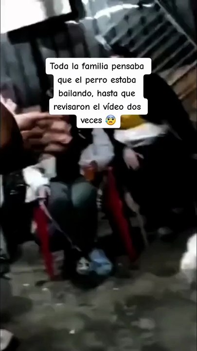 UNA MASCOTA ES HALADA POR UN ENTE INVISIBLE