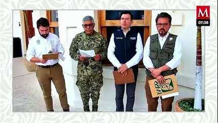 ¡Hubo inspección! Descartan que hubiera daños en vías tras incidente del Tren Interoceánico