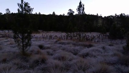 Valle Nuevo parece de película: cinco días bajo cero y paisajes congelados