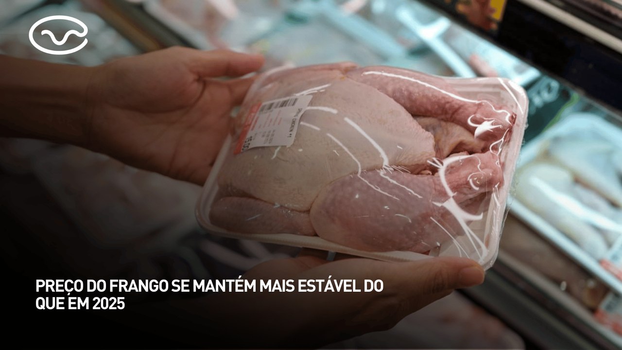 Preço do frango se mantém mais estável do que em 2025