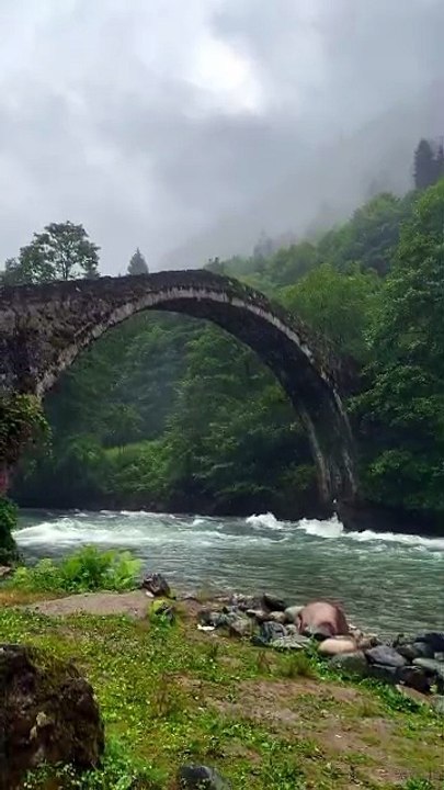 VID-20green bridge