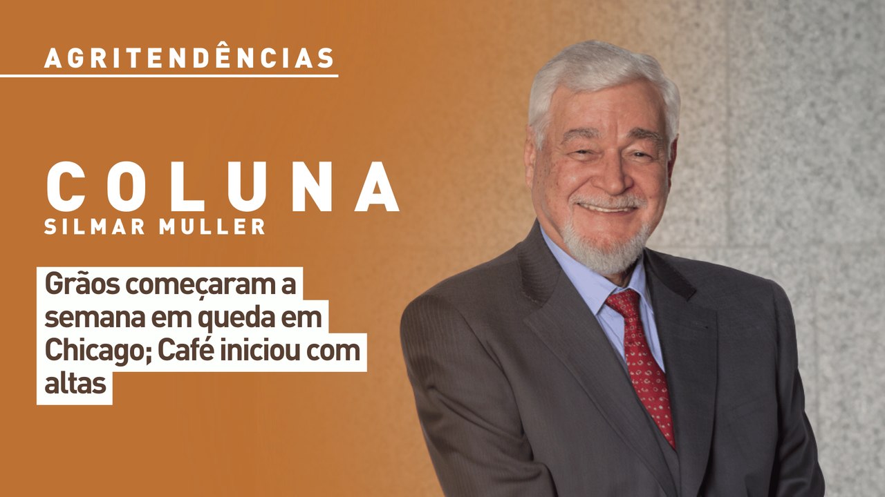 Grãos começaram a semana em queda em Chicago; Café iniciou com altas