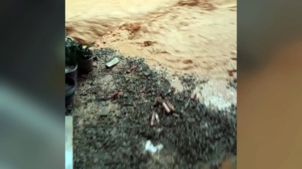 VÍDEO: Chuva forte invade casas e deixa cidades da Grande Florianópolis com alagamentos