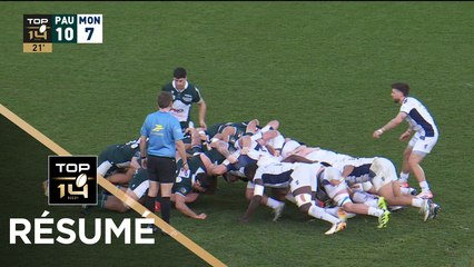 TOP 14 Saison 2025-2026 J13 - Résumé Section Paloise - Montpellier Hérault Rugby