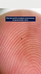 Robot más pequeño que un grano de sal