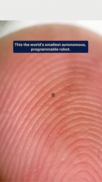 Robot más pequeño que un grano de sal
