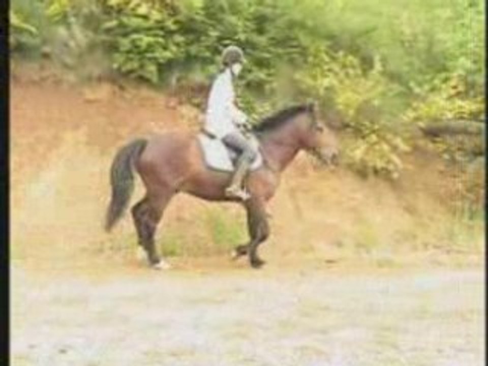 NF 6 ANS 1M45 julien