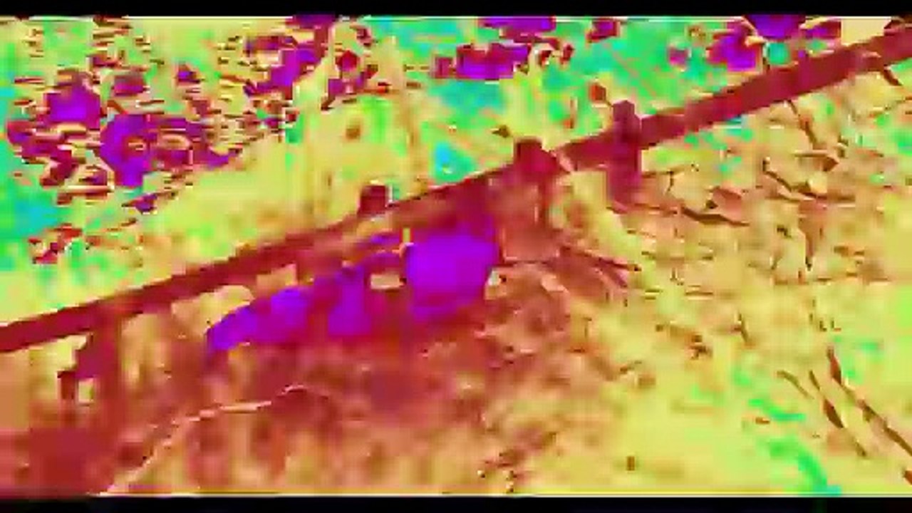 Anaconda Blood Coil Trailer