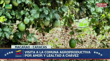 Presidente Nicolás Maduro visita la comuna Agroproductiva por Amor y Lealtad a Chávez en Macarao