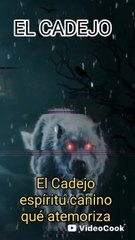 misterio y terror con leyendas