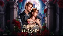Reborn for the Lycan King (2026) - FULL - Reelshort