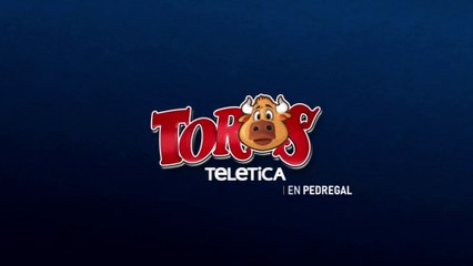 Toros en pedregal 29 diciembre 2025